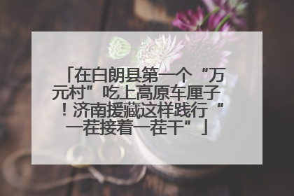 在白朗县第一个“万元村”吃上高原车厘子！济南援藏这样践行“一茬接着一茬干”
