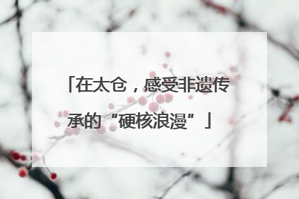在太仓，感受非遗传承的“硬核浪漫”
