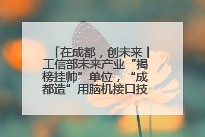 在成都，创未来丨工信部未来产业“揭榜挂帅”单位，“成都造”用脑机接口技术造福孤独症儿童