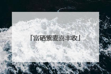 富硒紫麦喜丰收