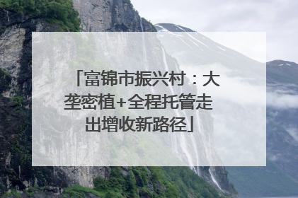 富锦市振兴村：大垄密植+全程托管走出增收新路径