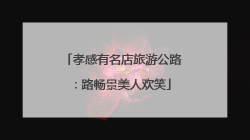 孝感有名店旅游公路：路畅景美人欢笑