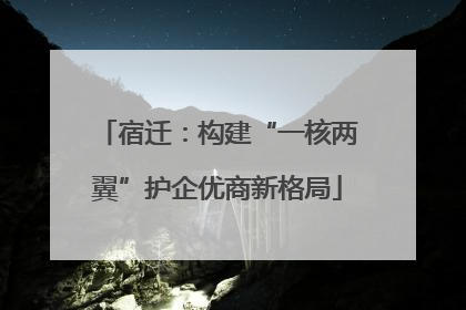 宿迁：构建“一核两翼”护企优商新格局