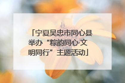 宁夏吴忠市同心县举办“粽韵同心·文明同行”主题活动