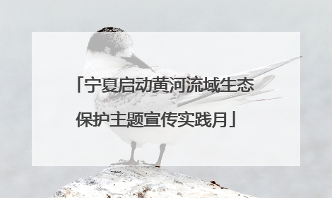 宁夏启动黄河流域生态保护主题宣传实践月