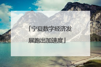 宁夏数字经济发展跑出加速度
