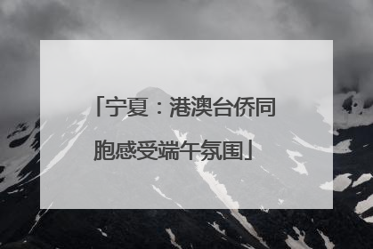 宁夏：港澳台侨同胞感受端午氛围