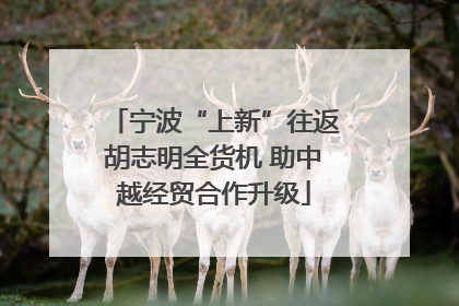 宁波“上新”往返胡志明全货机 助中越经贸合作升级