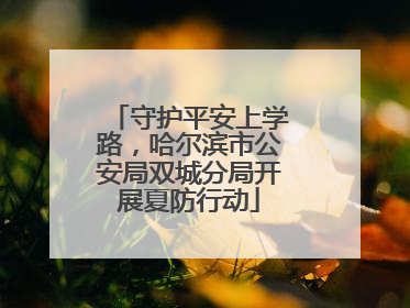 守护平安上学路，哈尔滨市公安局双城分局开展夏防行动