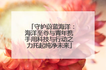 守护蔚蓝海洋：海洋至尊与青年携手用科技与行动之力托起纯净未来