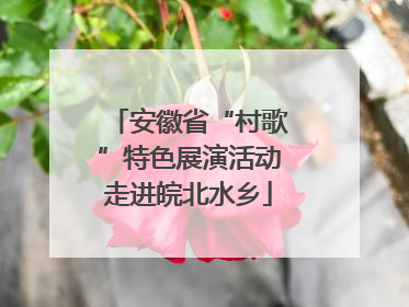 安徽省“村歌”特色展演活动走进皖北水乡