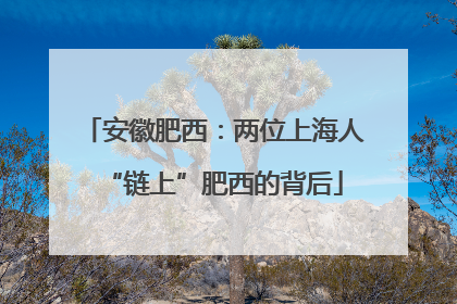 安徽肥西：两位上海人“链上”肥西的背后