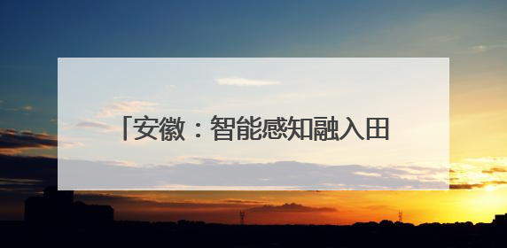 安徽：智能感知融入田间地头 精密监测提升防灾能力｜增发国债气象项目落地见效系列报道
