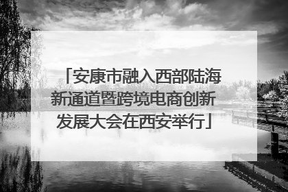 安康市融入西部陆海新通道暨跨境电商创新发展大会在西安举行