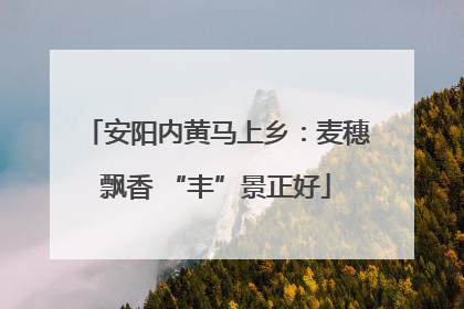 安阳内黄马上乡：麦穗飘香 “丰”景正好