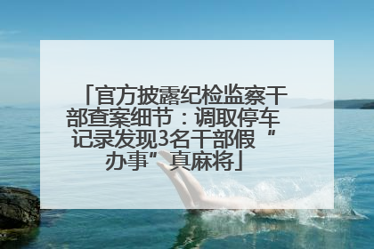 官方披露纪检监察干部查案细节：调取停车记录发现3名干部假“办事”真麻将