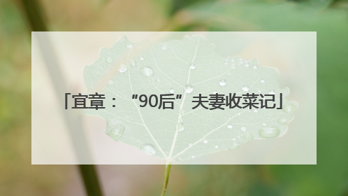 宜章：“90后”夫妻收菜记