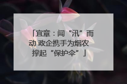 宜章：闻“汛”而动 政企携手为烟农撑起“保护伞”