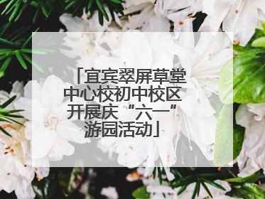 宜宾翠屏草堂中心校初中校区开展庆“六一”游园活动