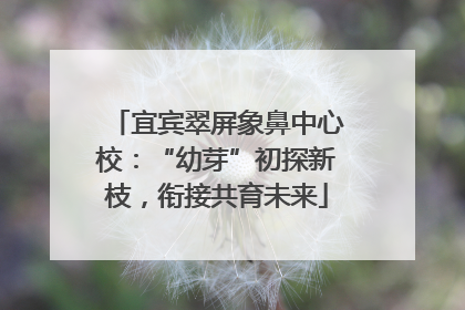 宜宾翠屏象鼻中心校：“幼芽”初探新枝，衔接共育未来