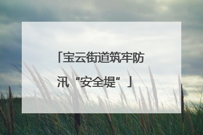 宝云街道筑牢防汛“安全堤”