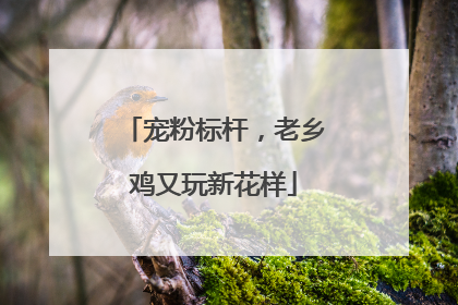 宠粉标杆，老乡鸡又玩新花样