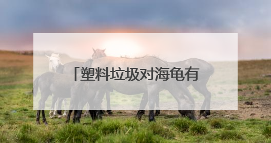 塑料垃圾对海龟有何致命伤害？世界环境日总台记者走进开普敦海洋馆