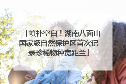 填补空白！湖南八面山国家级自然保护区首次记录珍稀物种宽距兰