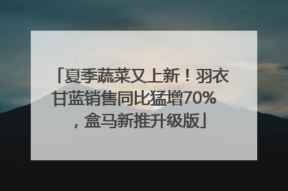 夏季蔬菜又上新！羽衣甘蓝销售同比猛增70%，盒马新推升级版