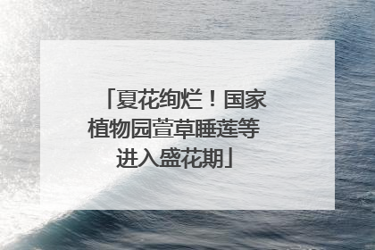 夏花绚烂！国家植物园萱草睡莲等进入盛花期