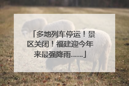 多地列车停运！景区关闭！福建迎今年来最强降雨……