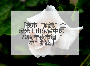 夜市“顶流”全曝光！山东省中医70周年夜市追“星”指南