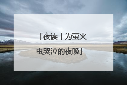 夜读丨为萤火虫哭泣的夜晚