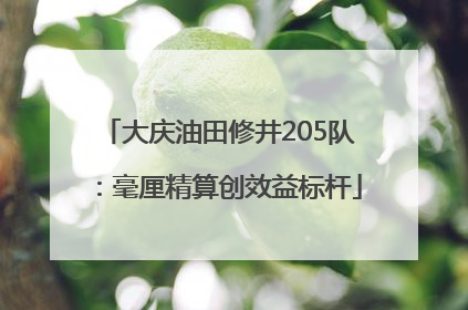 大庆油田修井205队：毫厘精算创效益标杆