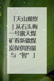天山观察｜从石头梅一号露天煤矿看新疆煤炭保供的量与“智”