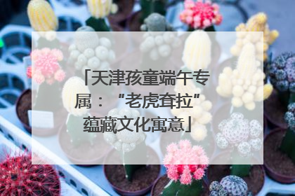 天津孩童端午专属：“老虎耷拉”蕴藏文化寓意