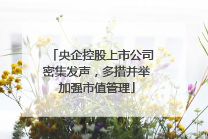 央企控股上市公司密集发声，多措并举加强市值管理