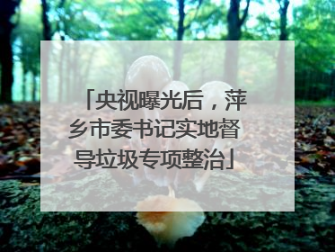 央视曝光后，萍乡市委书记实地督导垃圾专项整治