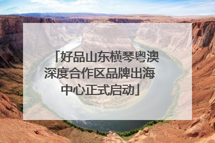 好品山东横琴粤澳深度合作区品牌出海中心正式启动