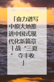 奋力谱写中原大地推进中国式现代化新篇章丨战“三夏” 夺丰收