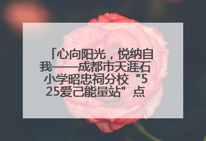 心向阳光，悦纳自我——成都市天涯石小学昭忠祠分校“525爱己能量站”点亮孩子心灵之旅