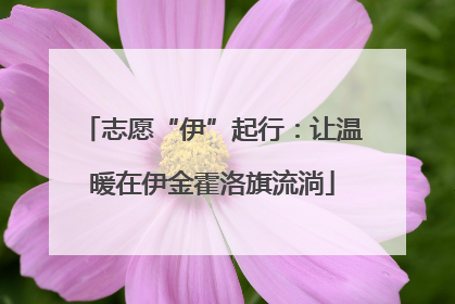 志愿“伊”起行：让温暖在伊金霍洛旗流淌