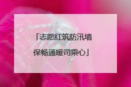 志愿红筑防汛墙 保畅通暖司乘心