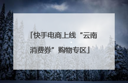 快手电商上线“云南消费券”购物专区