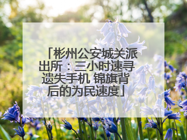 彬州公安城关派出所：三小时速寻遗失手机 锦旗背后的为民速度