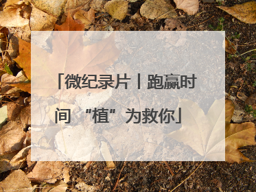 微纪录片丨跑赢时间 “植”为救你