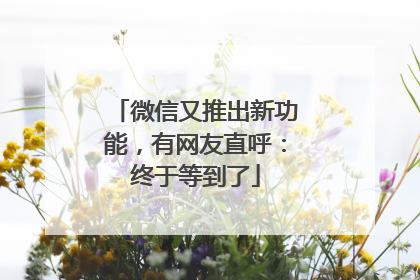 微信又推出新功能，有网友直呼：终于等到了