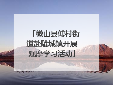 微山县傅村街道赴驩城镇开展观摩学习活动