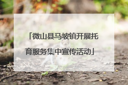 微山县马坡镇开展托育服务集中宣传活动