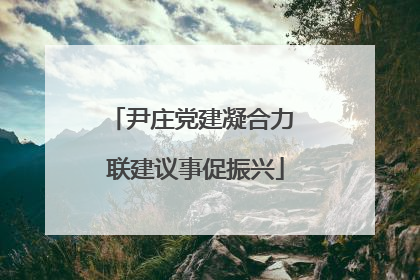 尹庄党建凝合力 联建议事促振兴